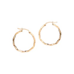 ARRACADAS ORO 10K TORSAL #INTER OAL AMA MEX.